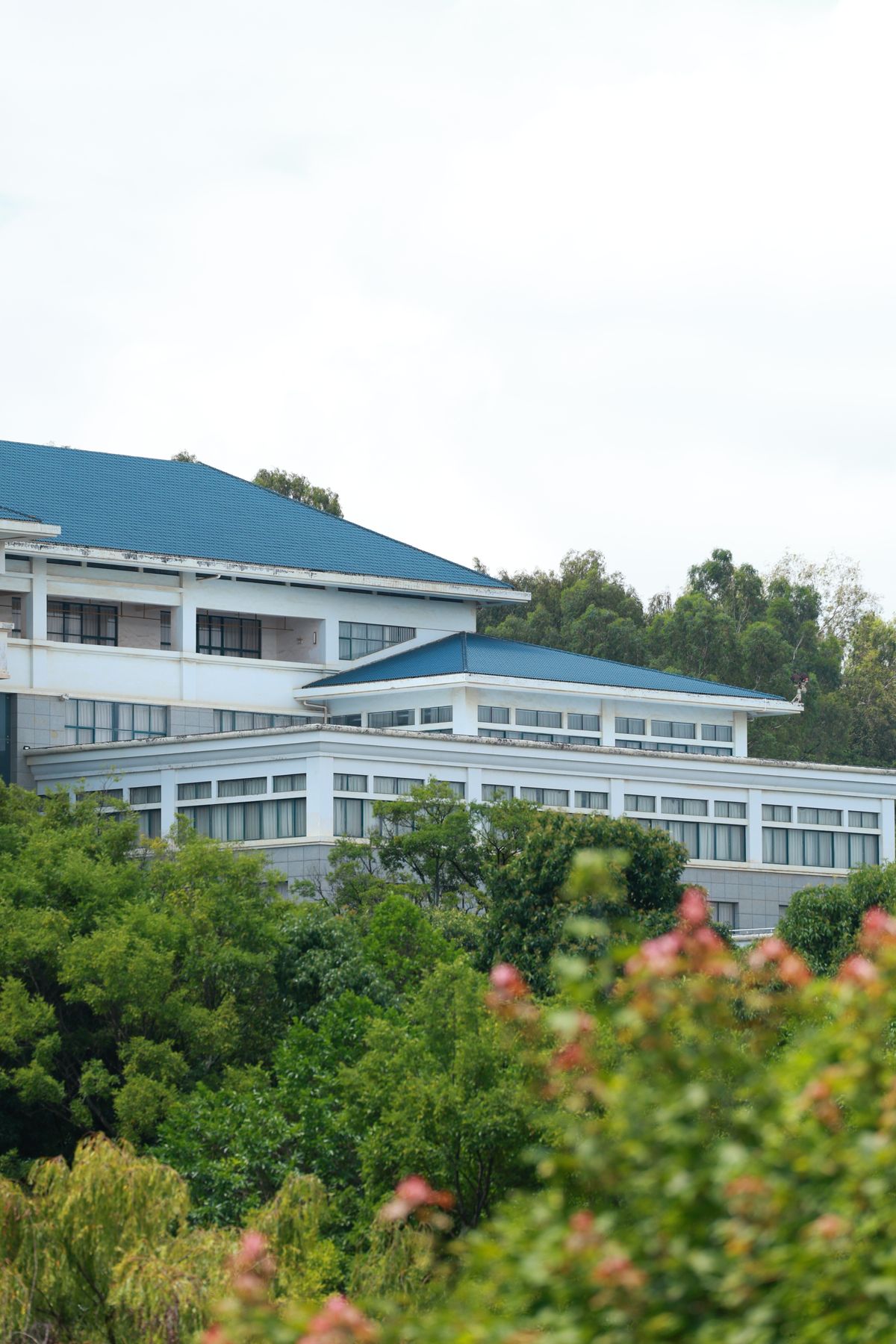 緑の木立の向こうに見える、青い屋根の学校の校舎。来年から通うことになる中学校を思い浮かべる場面のイメージ