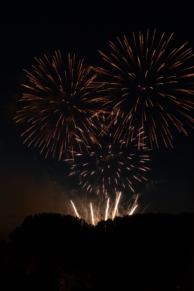 木立の上に開く打ち上げ花火の夜空。破裂音が苦手な子には、離れた場所から見る選択肢がある