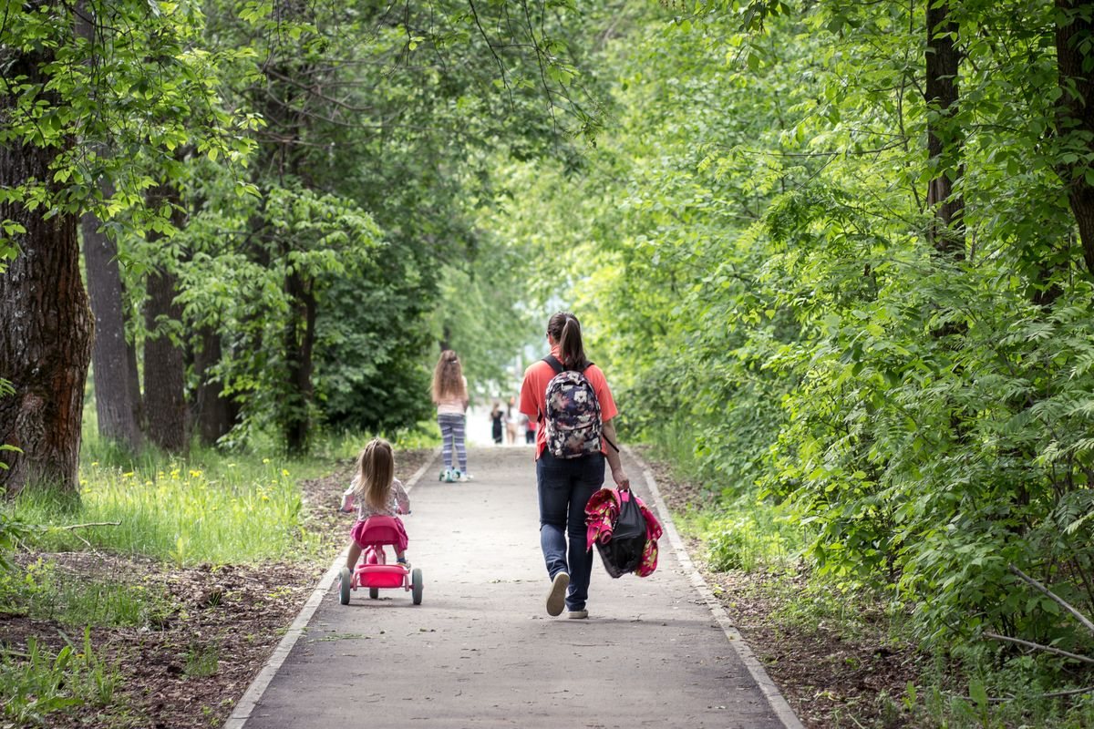 木々の間の小道を、母親と小さな子どもが歩いていく後ろ姿。休日に親子で過ごす時間のイメージ